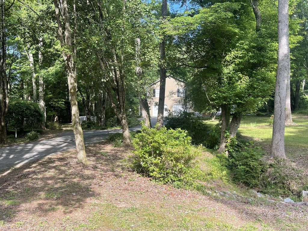 96 Frances Drive Property Photo 83