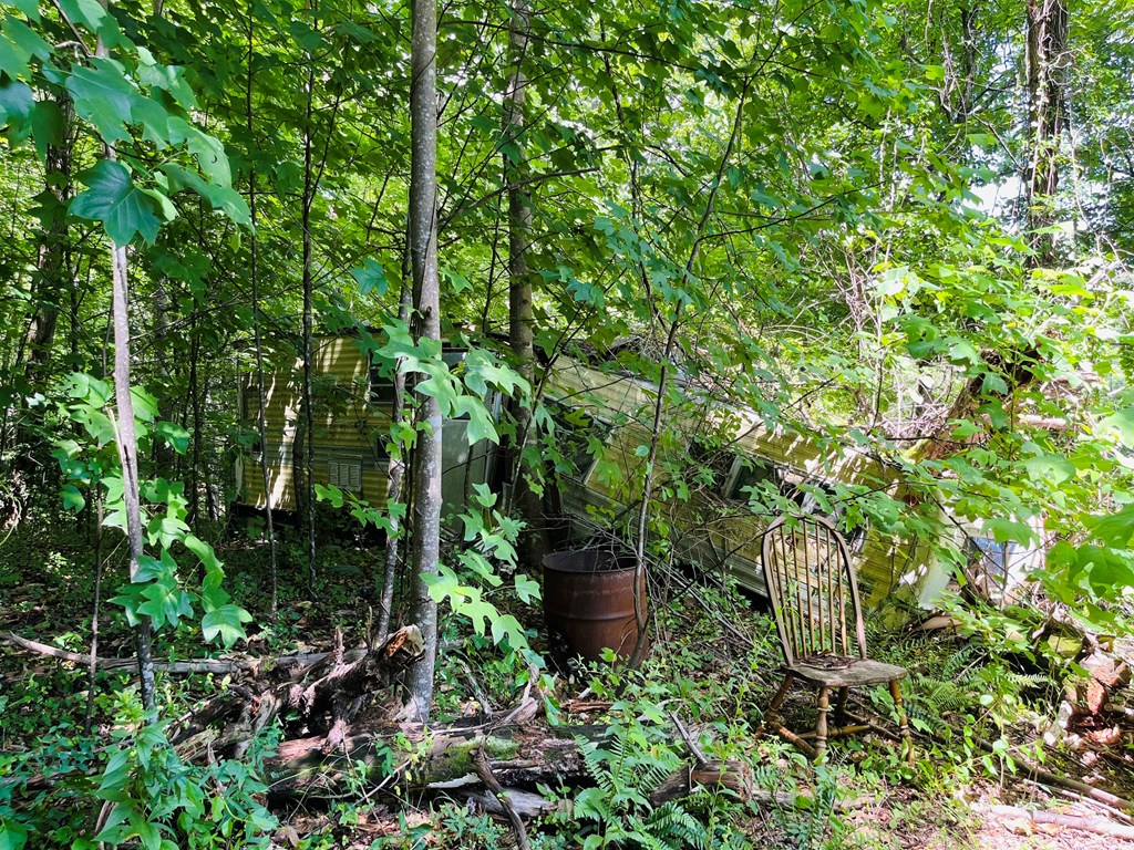 586 Pounding Mill Road Property Photo 14