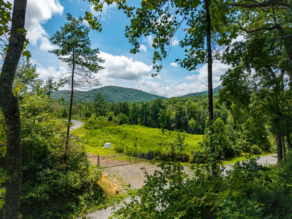 2.31acre Higdon Creek Road Property Photo 3