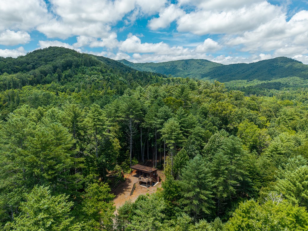 2.31acre Higdon Creek Road Property Photo 6