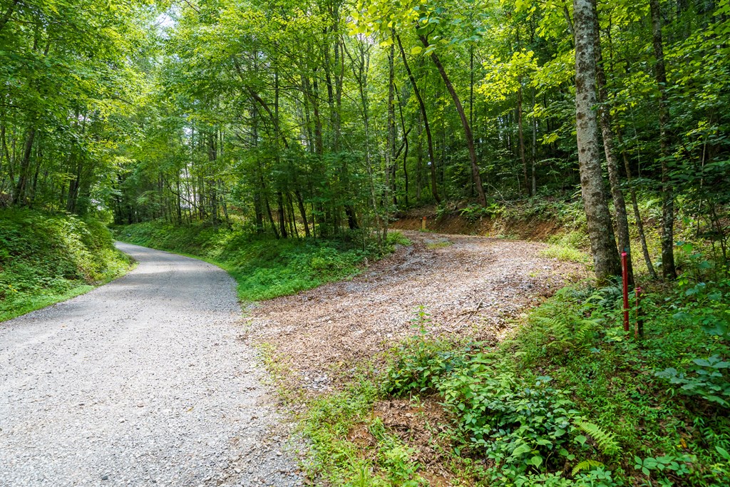 2.31acre Higdon Creek Road Property Photo 7