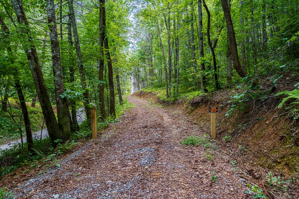 2.31acre Higdon Creek Road Property Photo 8