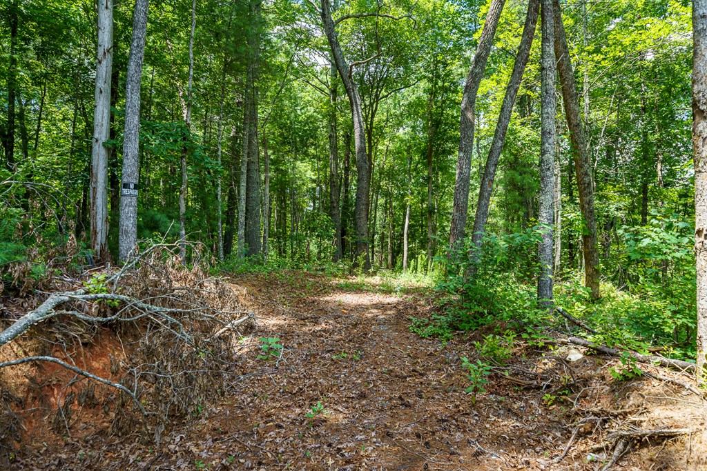 2.31acre Higdon Creek Road Property Photo 28