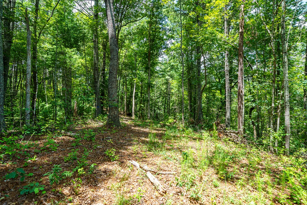 2.31acre Higdon Creek Road Property Photo 29