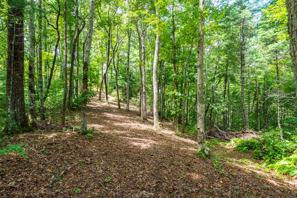 2.31acre Higdon Creek Road Property Photo 31
