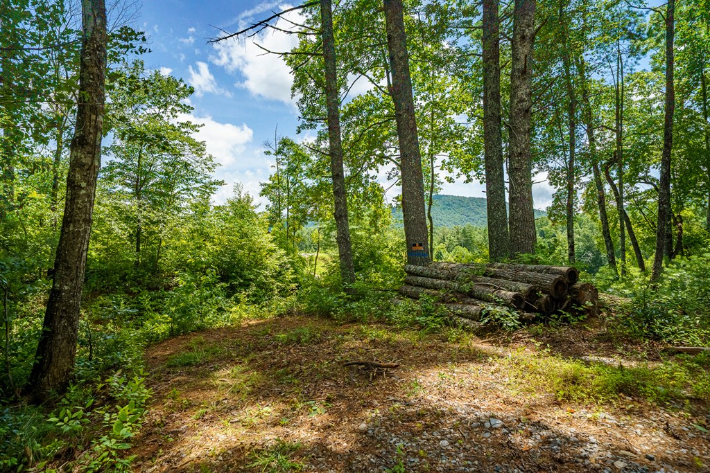 2.31acre Higdon Creek Road Property Photo 32