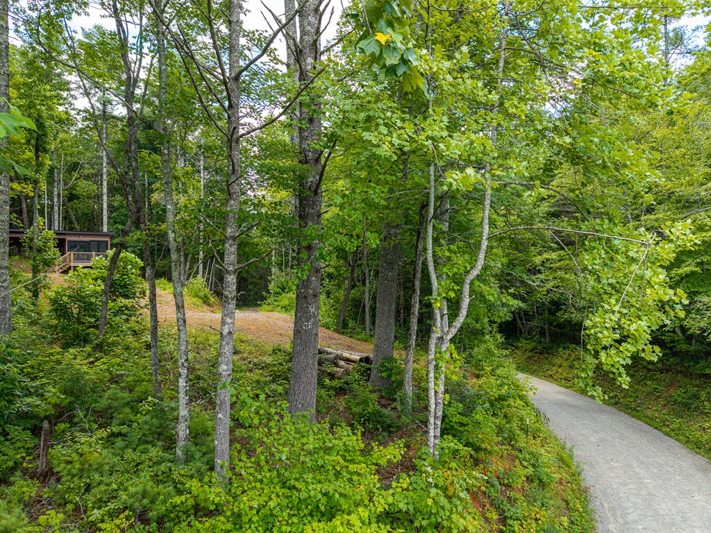 2.31acre Higdon Creek Road Property Photo 33