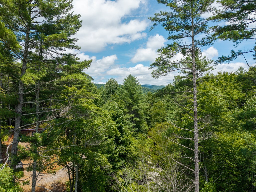 2.31acre Higdon Creek Road Property Photo 34
