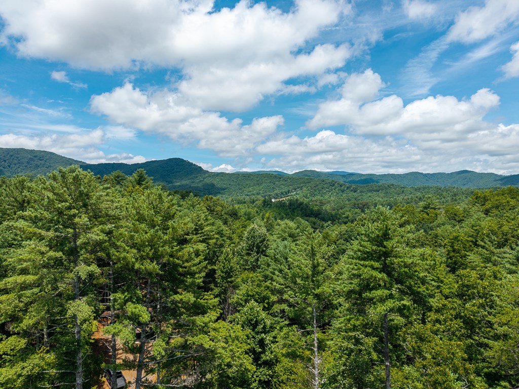 2.31acre Higdon Creek Road Property Photo 35