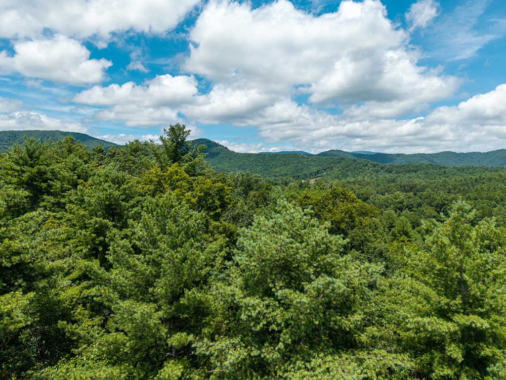2.31acre Higdon Creek Road Property Photo 37