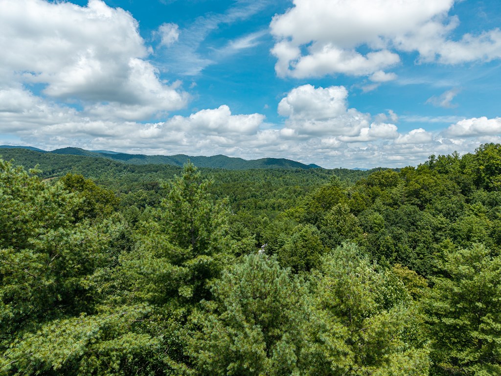 2.31acre Higdon Creek Road Property Photo 38