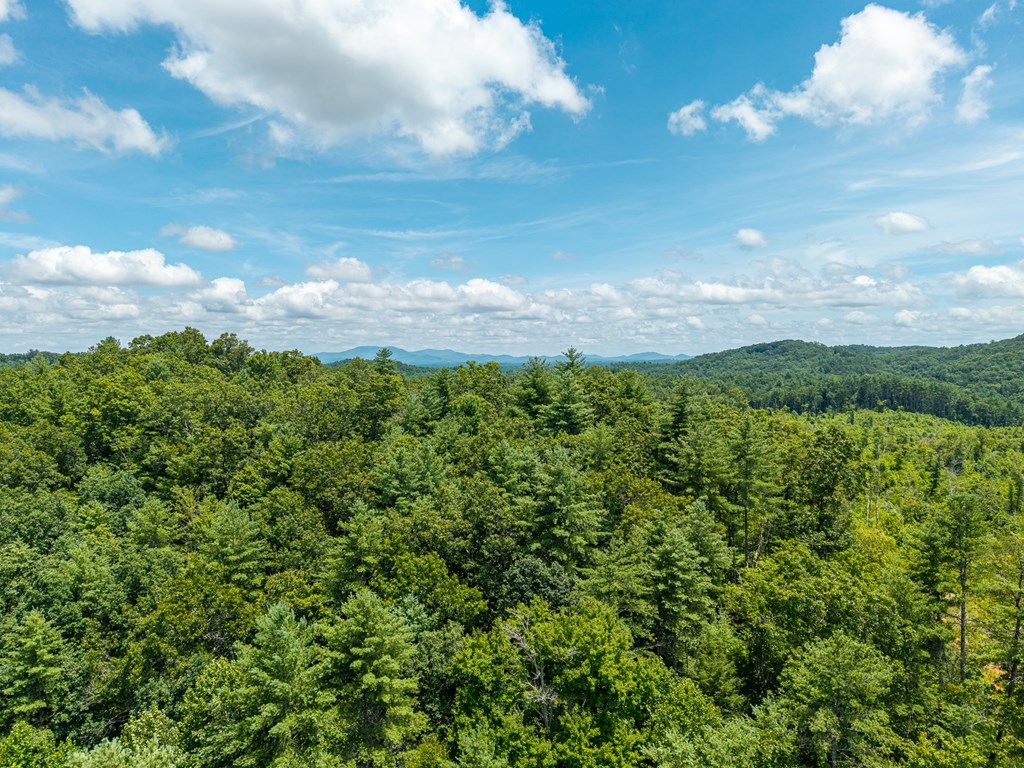 2.31acre Higdon Creek Road Property Photo 39