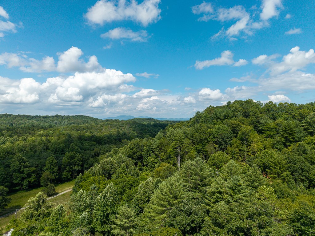 2.31acre Higdon Creek Road Property Photo 40