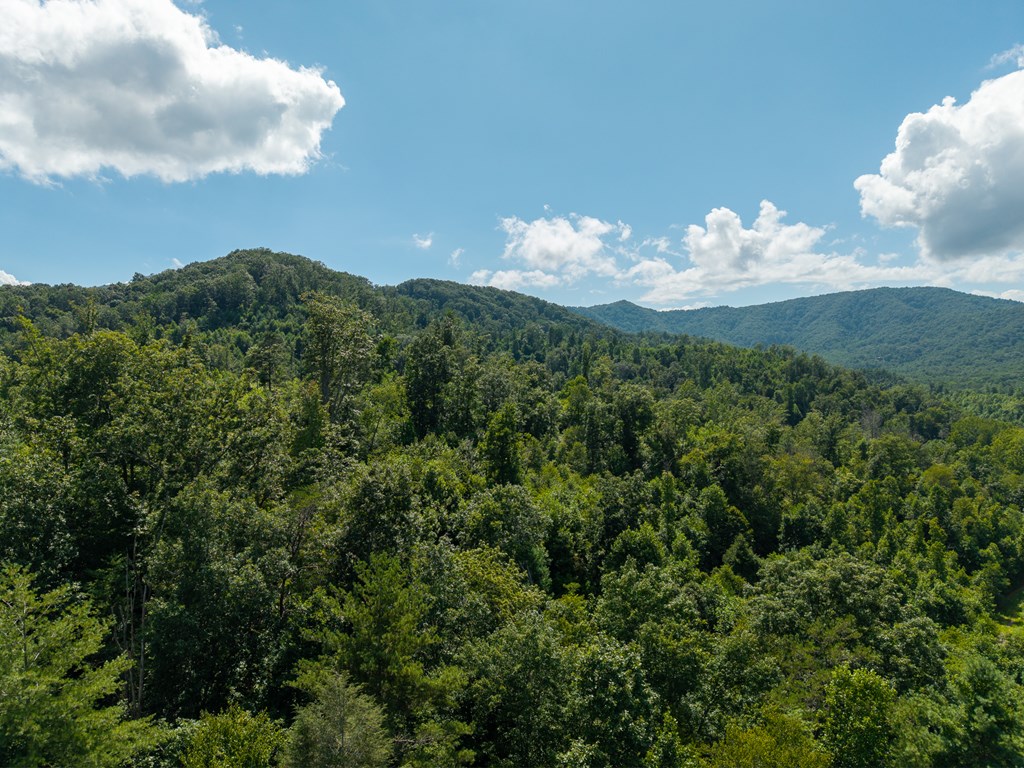 2.31acre Higdon Creek Road Property Photo 42