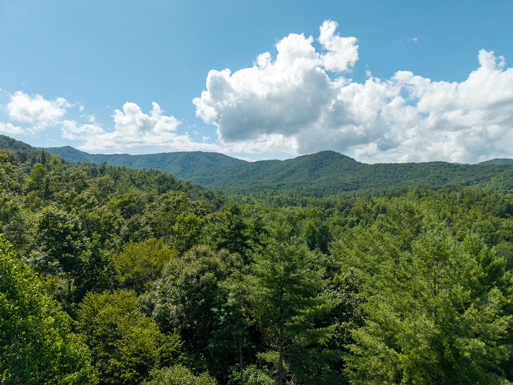 2.31acre Higdon Creek Road Property Photo 43