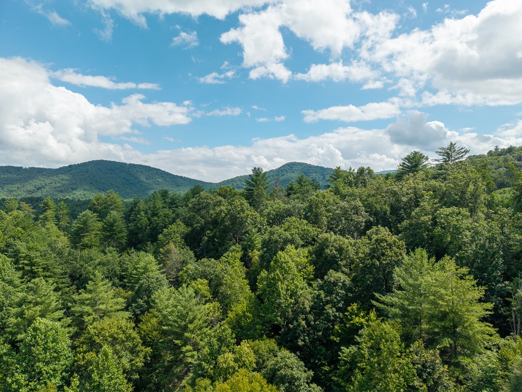 2.31acre Higdon Creek Road Property Photo 44