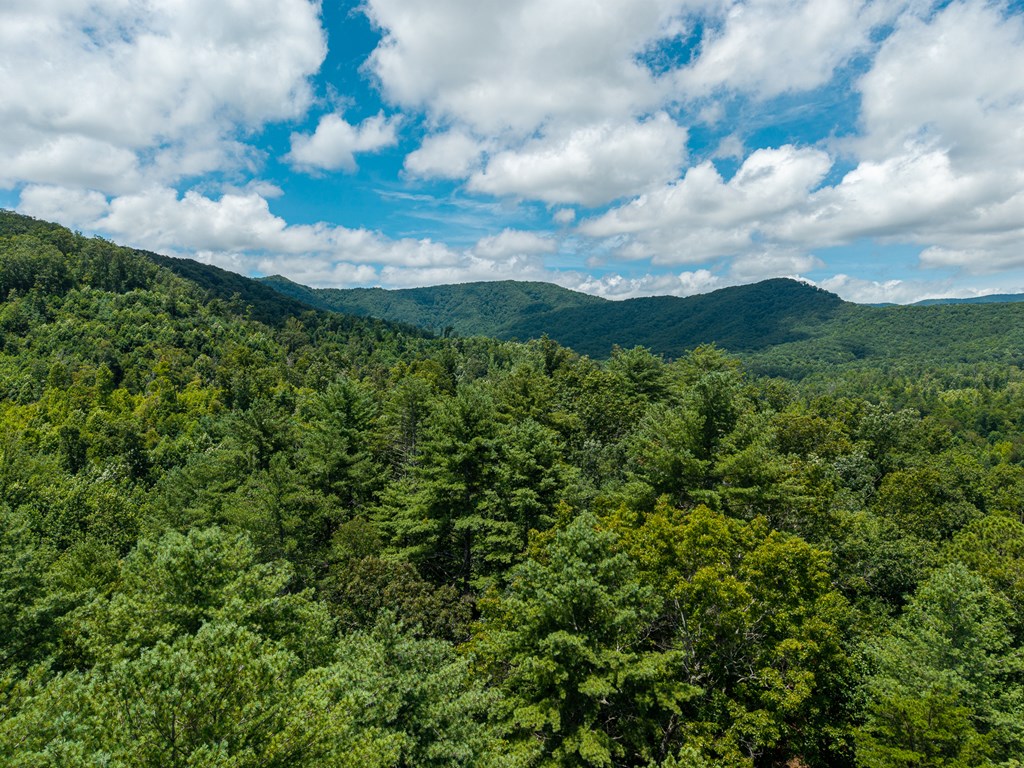 2.31acre Higdon Creek Road Property Photo 45