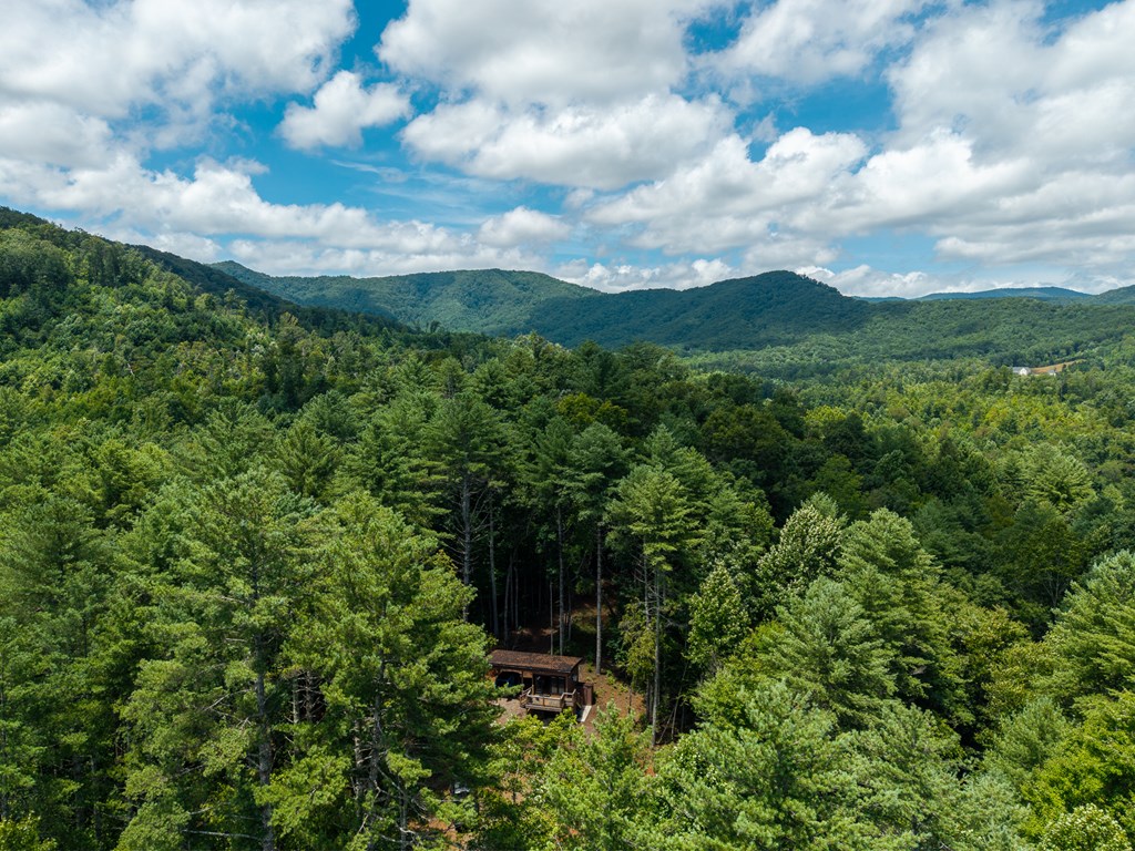 2.31acre Higdon Creek Road Property Photo 46