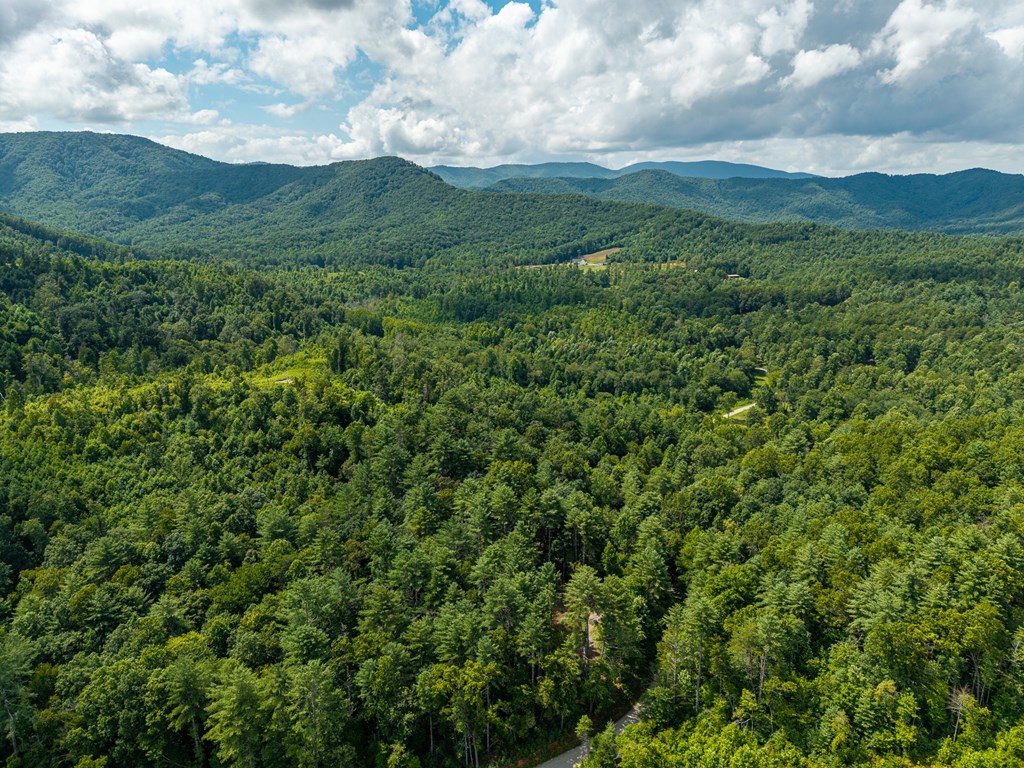 2.31acre Higdon Creek Road Property Photo 49