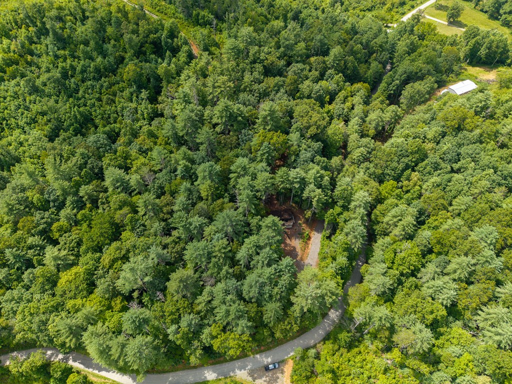2.31acre Higdon Creek Road Property Photo 50