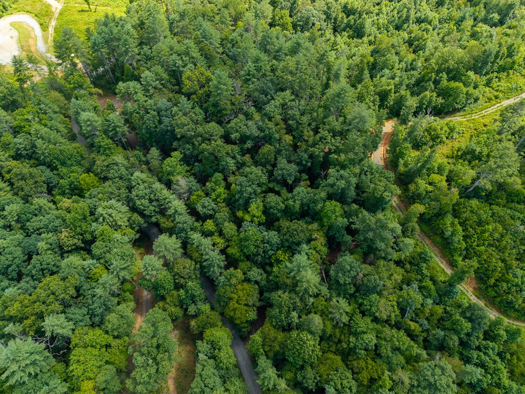 2.31acre Higdon Creek Road Property Photo 52