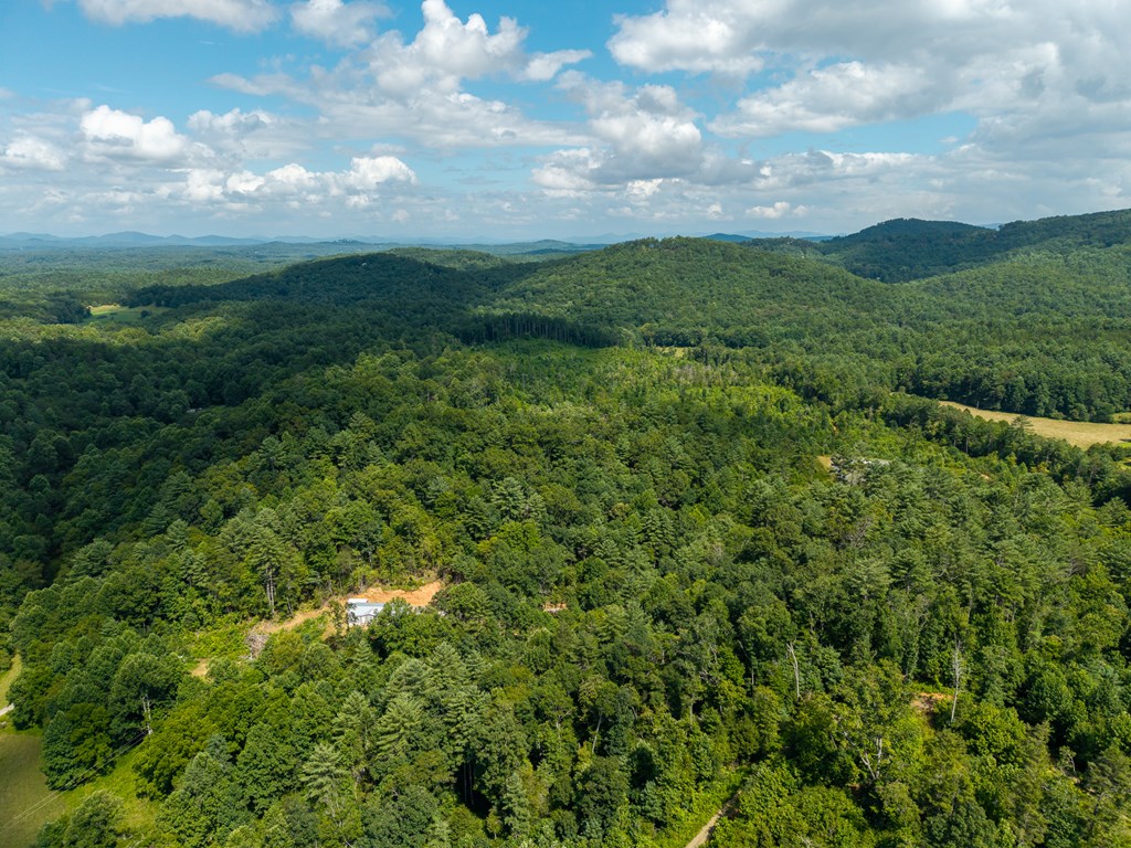 2.31acre Higdon Creek Road Property Photo 55