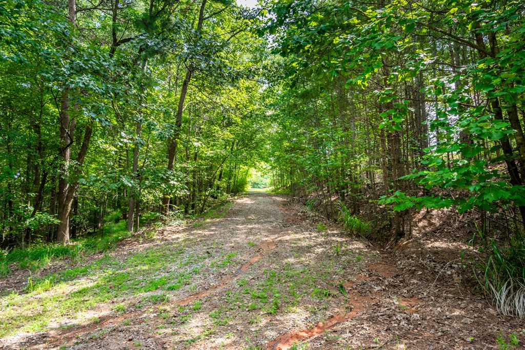 271 Big Sky Lane Property Photo 41