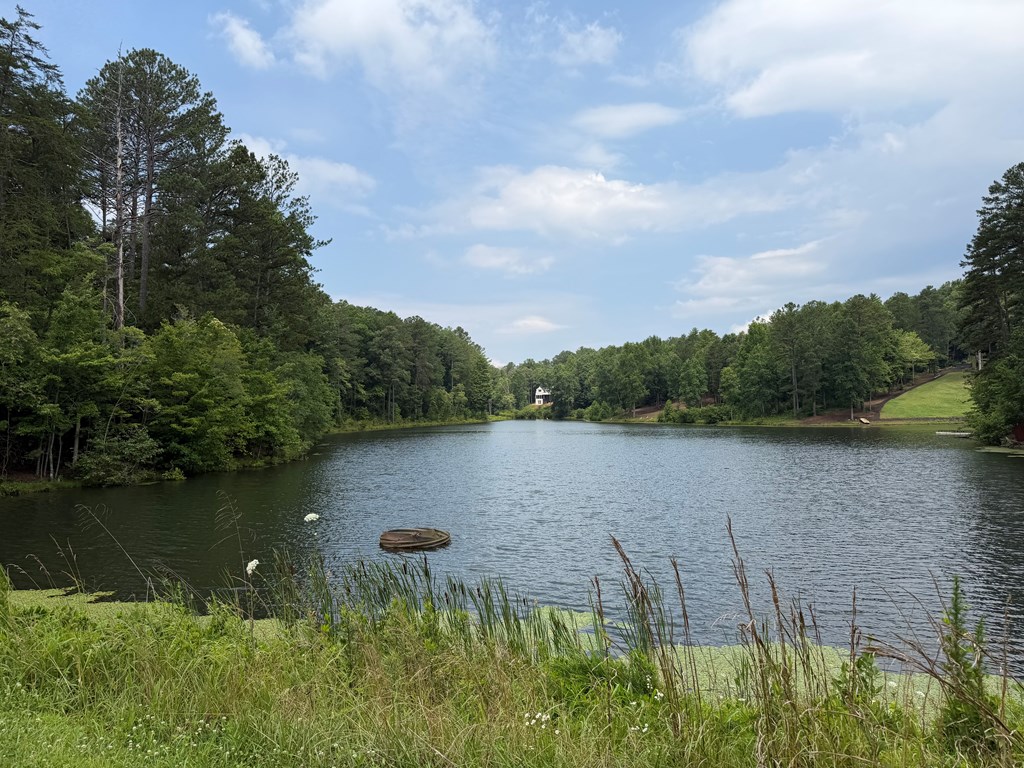 Lot 166 Pinnacle Drive Property Photo 7