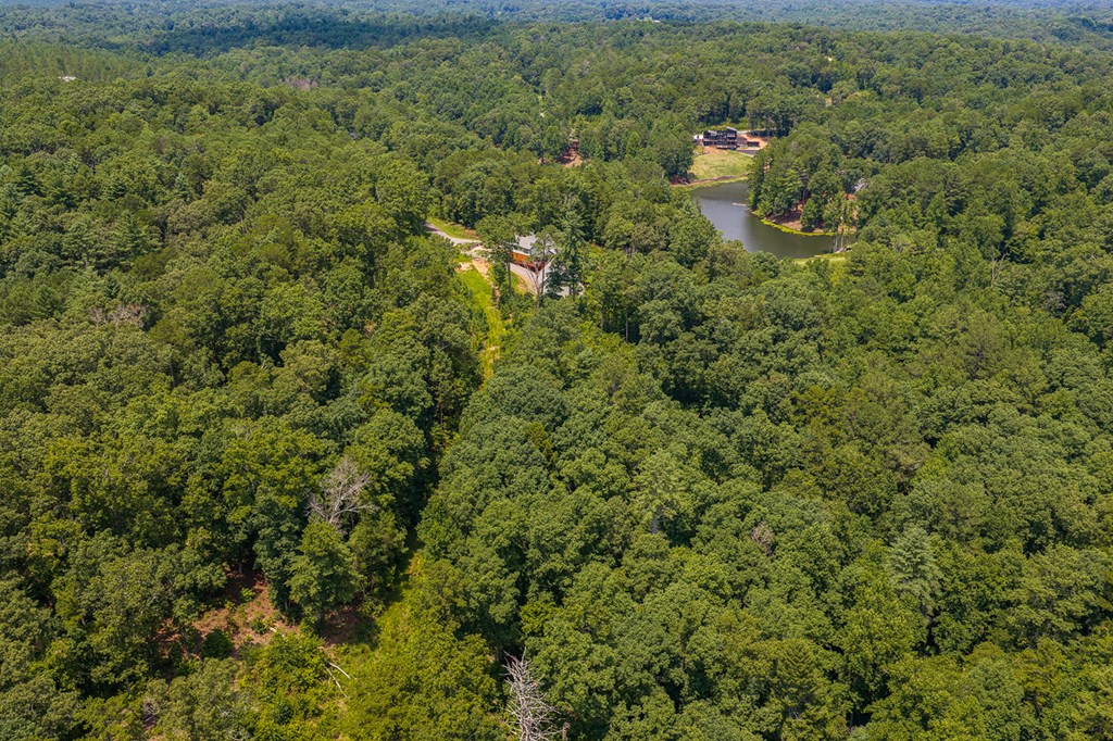 Lot 166 Pinnacle Drive Property Photo 10