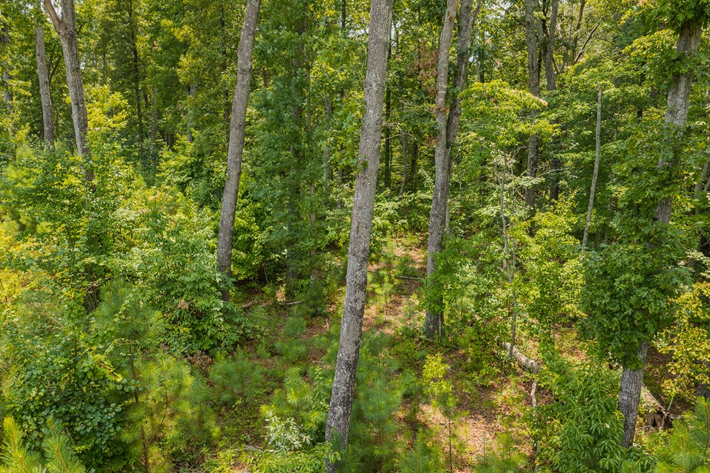 Lot 166 Pinnacle Drive Property Photo 11