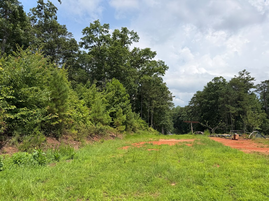 Lot 166 Pinnacle Drive Property Photo 13