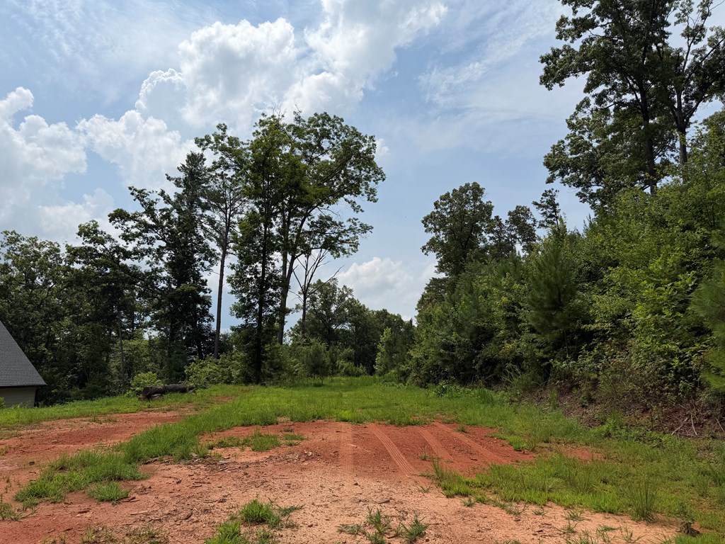 Lot 166 Pinnacle Drive Property Photo 14