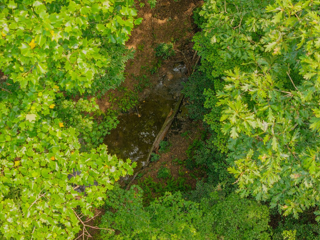 Lot 166 Pinnacle Drive Property Photo 15