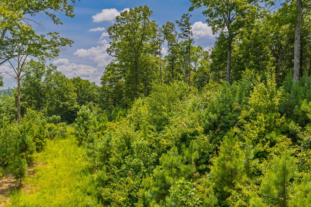 Lot 166 Pinnacle Drive Property Photo 17