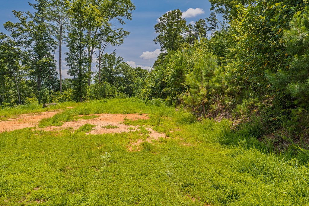 Lot 166 Pinnacle Drive Property Photo 18