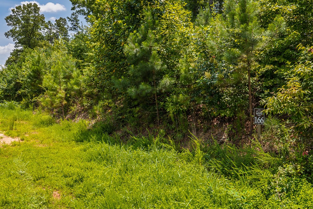 Lot 166 Pinnacle Drive Property Photo 19