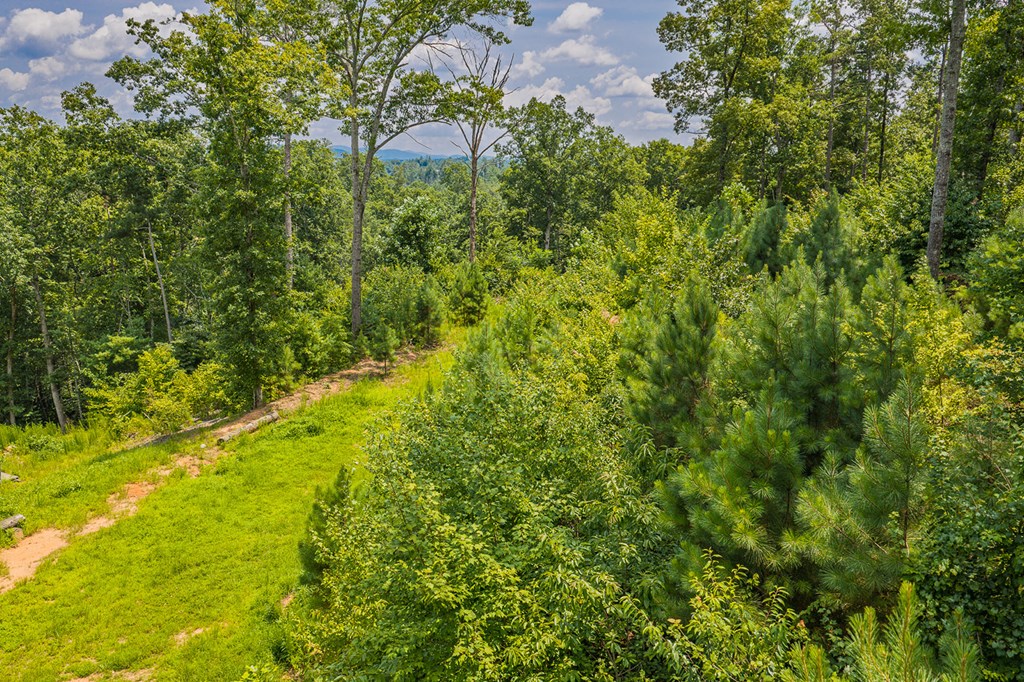 Lot 166 Pinnacle Drive Property Photo 20