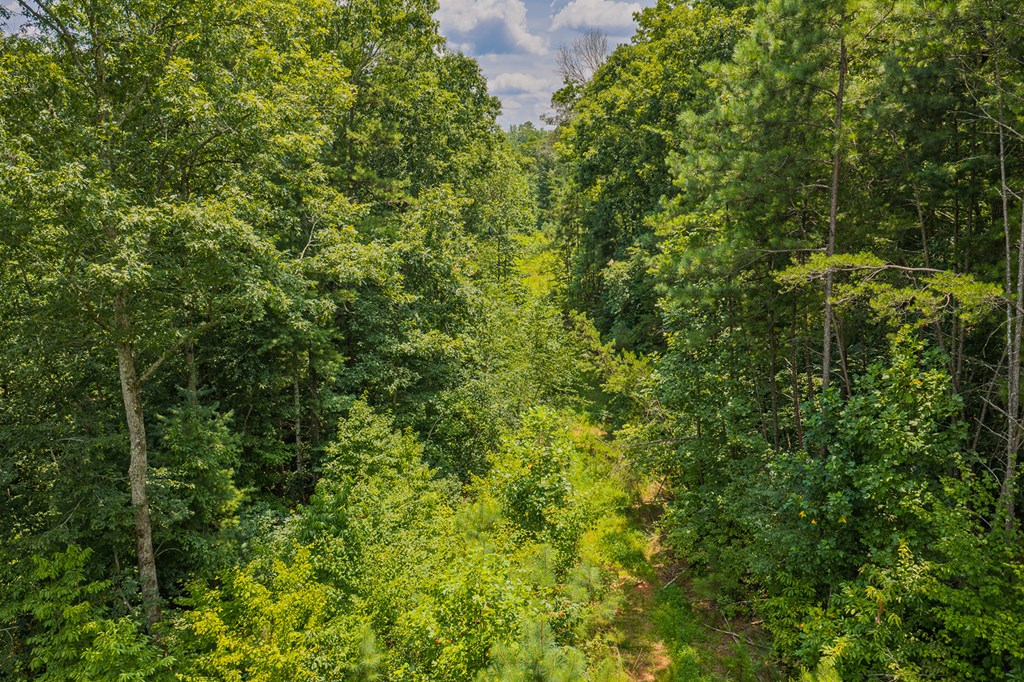 Lot 166 Pinnacle Drive Property Photo 21