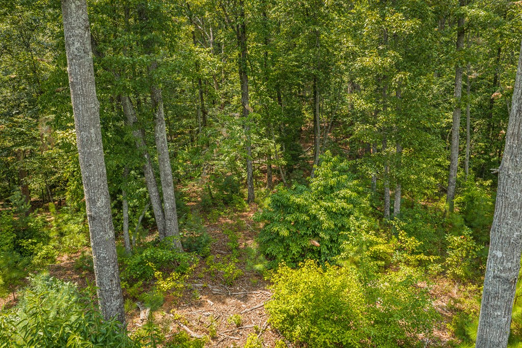 Lot 166 Pinnacle Drive Property Photo 22