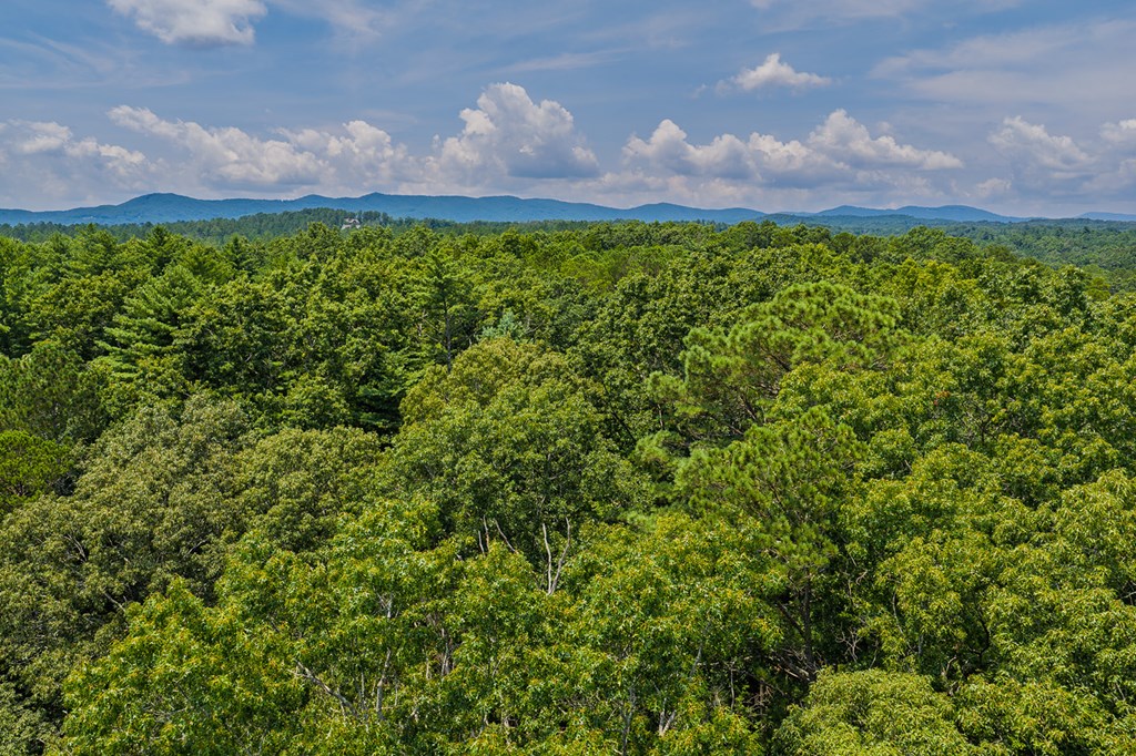 Lot 166 Pinnacle Drive Property Photo 23