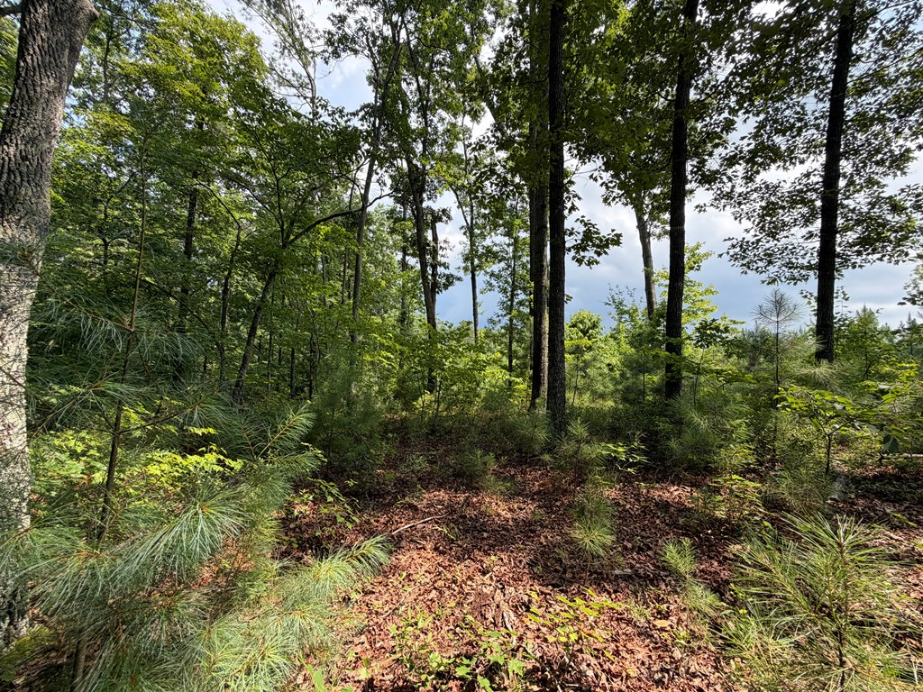 Lot 166 Pinnacle Drive Property Photo 26
