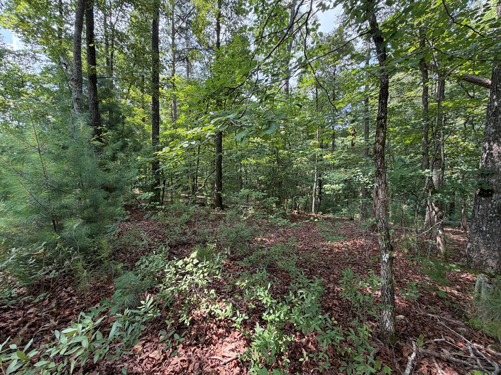Lot 166 Pinnacle Drive Property Photo 27