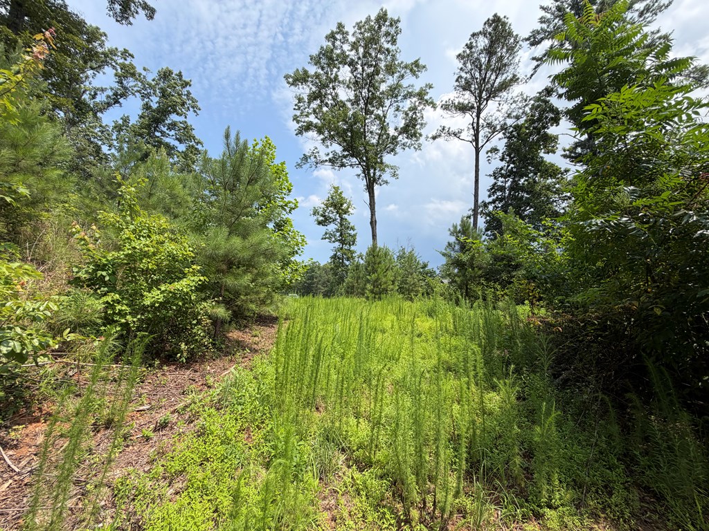 Lot 166 Pinnacle Drive Property Photo 29