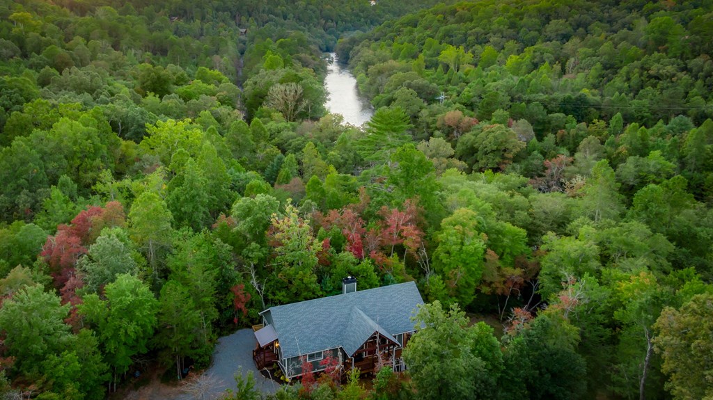 44 Lower Toccoa Hills Property Photo 4