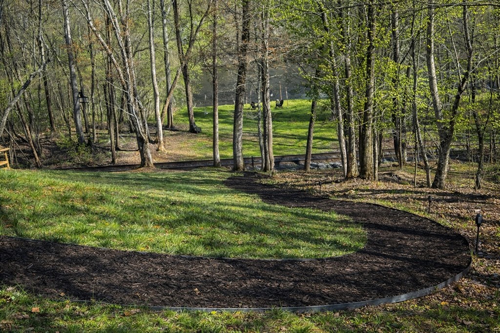 44 Lower Toccoa Hills Property Photo 7