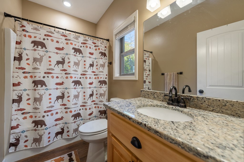 44 Lower Toccoa Hills Property Photo 19