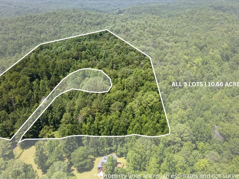 10.66 Ac East Ridge Lane Property Photo 6