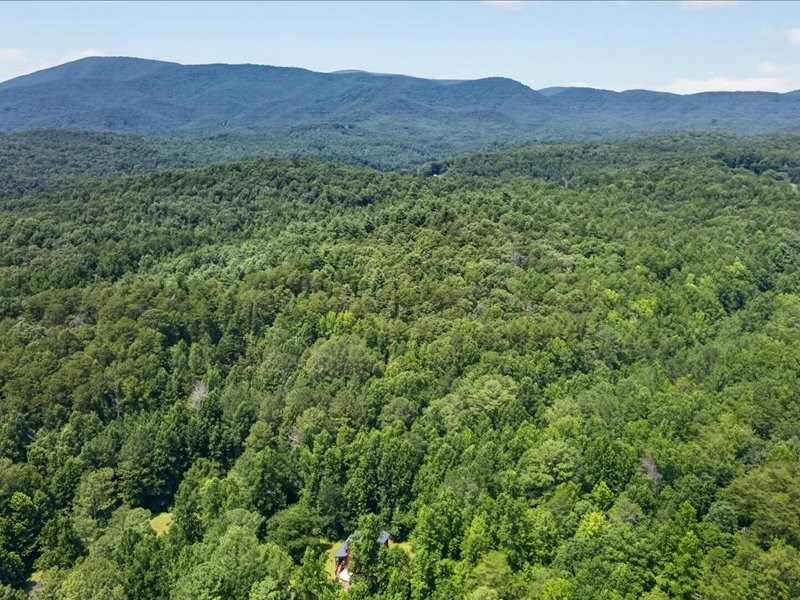 10.66 Ac East Ridge Lane Property Photo 15
