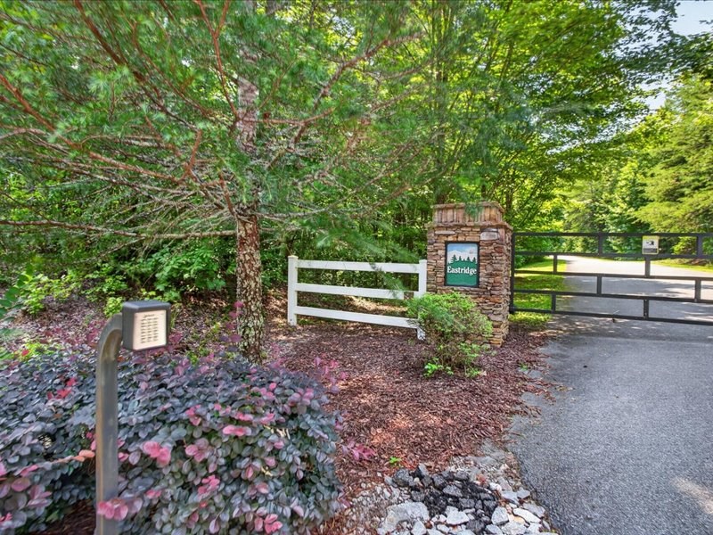 10.66 Ac East Ridge Lane Property Photo 19