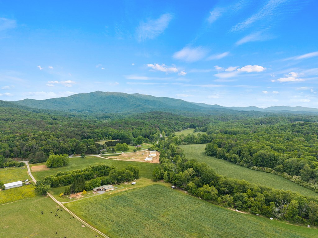 315 Cartecay River Run Property Photo 44